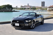 New Ford Mustang Cabriolet（ブラック）　画像