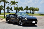 New Ford Mustang Cabriolet（ブラック）画像