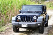Jeep Wrangler Unlimited画像