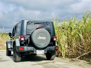 Jeep Wrangler Unlimited画像